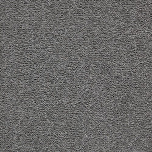 Amazing Ashen Polypropylene Plain Carpet