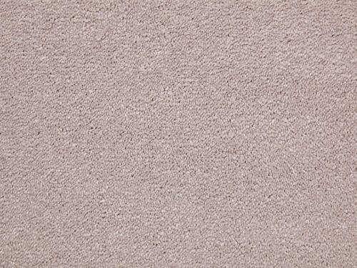 Amazing Dusky Pink Polypropylene Plain Carpet