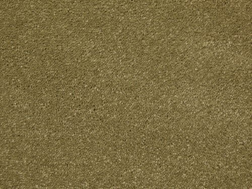 Amazing Khaki Polypropylene Plain Carpet