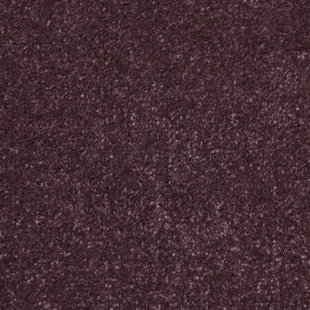 Amazing Plum Polypropylene Plain Carpet