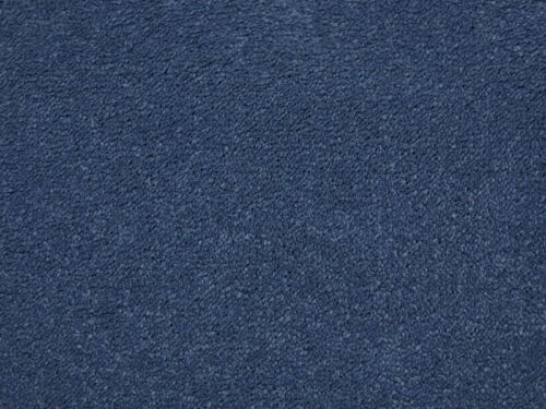 Amazing Royale Polypropylene Plain Carpet