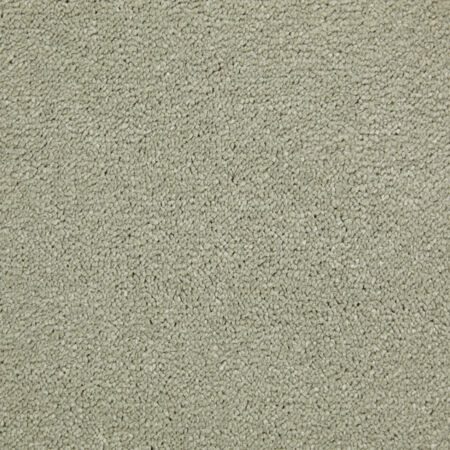 Amazing Sea foam Carpet Plain Polypropylene