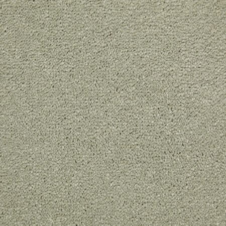 Amazing Sea foam Carpet Plain Polypropylene