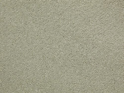 Amazing Sea foam Carpet Plain Polypropylene