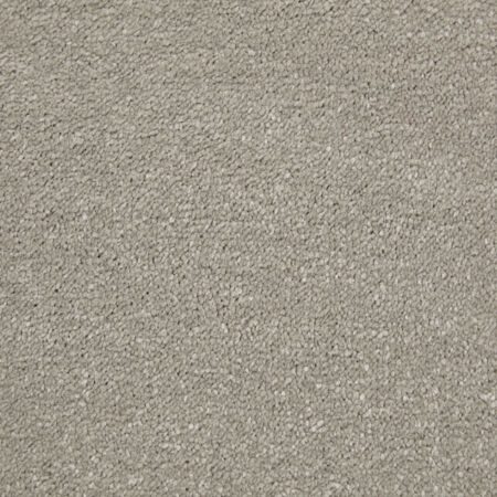 Amazing Steel Polypropylene Plain Carpet