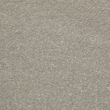 Amazing Steel Polypropylene Plain Carpet