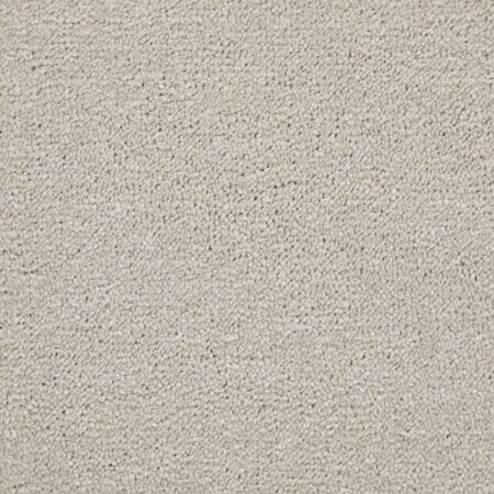 Amazing Stone Polypropylene Plain Carpet