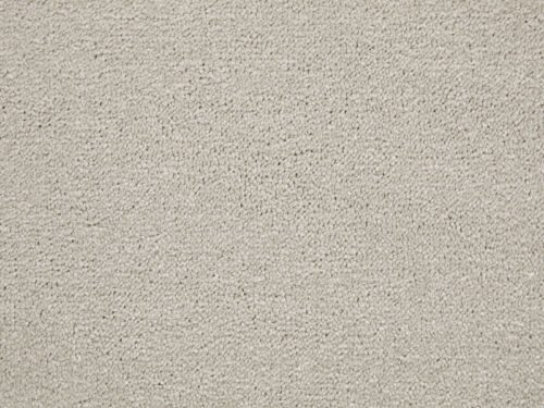 Amazing Stone Polypropylene Plain Carpet