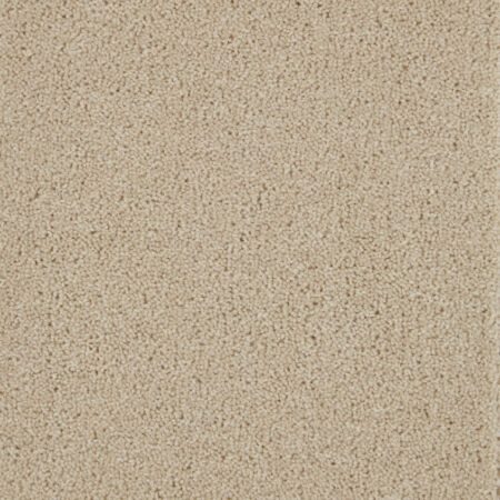 Artwork Coconut Wool and Synthetic Heather Carpet