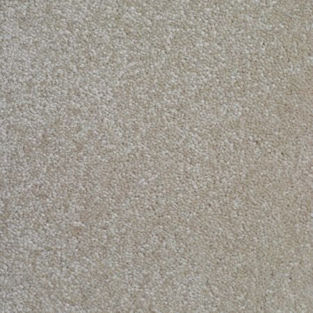 Awesome Blonde Polypropylene Heather Carpet