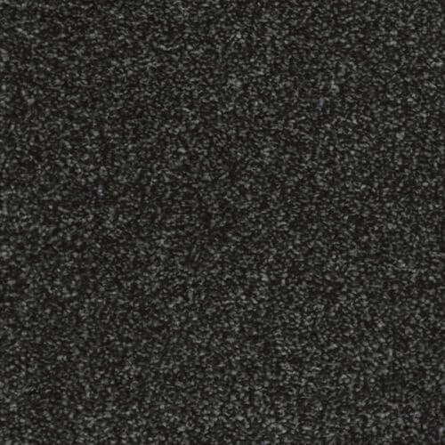 Awesome Liquorice Polypropylene Heather Carpet