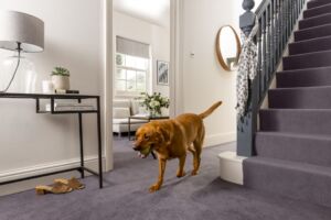 How To Measure Your Stairs For Carpet