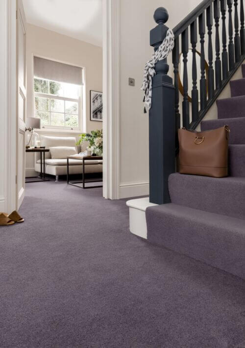 New Ayrshire Thistle Carpet - Image 4