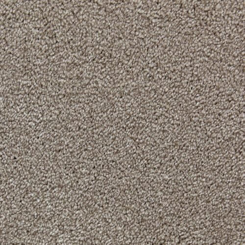 Bliss French Beige Polypropylene Heather Carpet