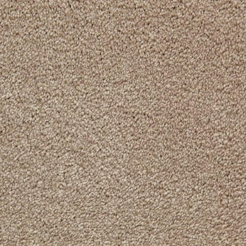 Bliss Wishing Well Heather Polypropylene Carpet