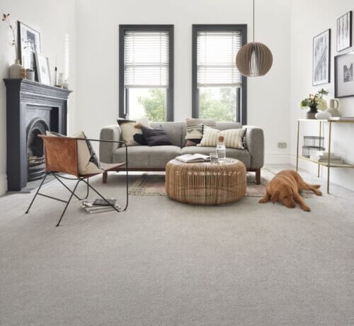 Our Carpet Ranges