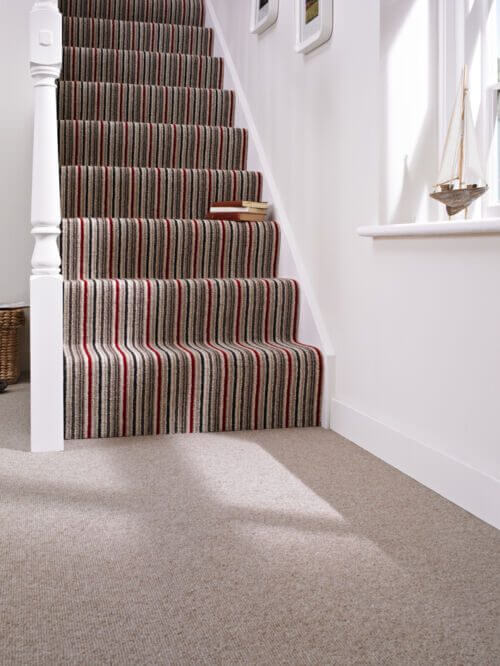Anthology Plutarch Carpet - Image 2