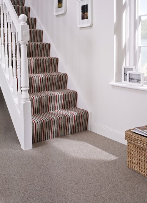 Anthology Plutarch Carpet - Image 4