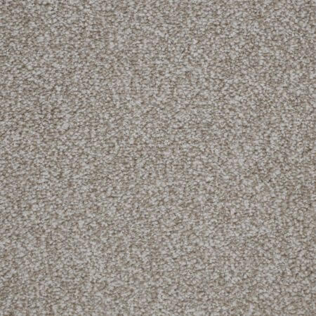 Fantastic Cookie Polypropylene Heather Carpet