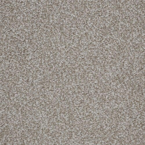 Fantastic Cookie Polypropylene Heather Carpet