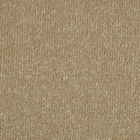 Fine Velvet Cord Plain Polypropylene Carpet