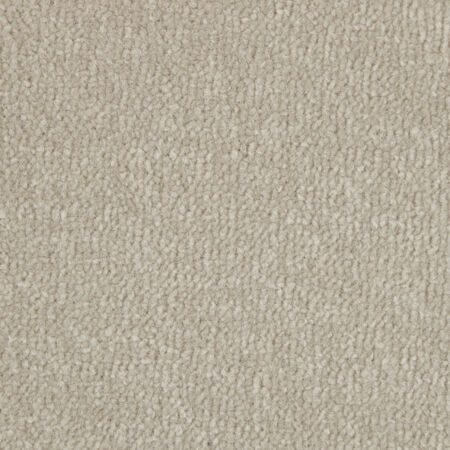 Fine Velvet Eggshell Polypropylene Plain Carpet