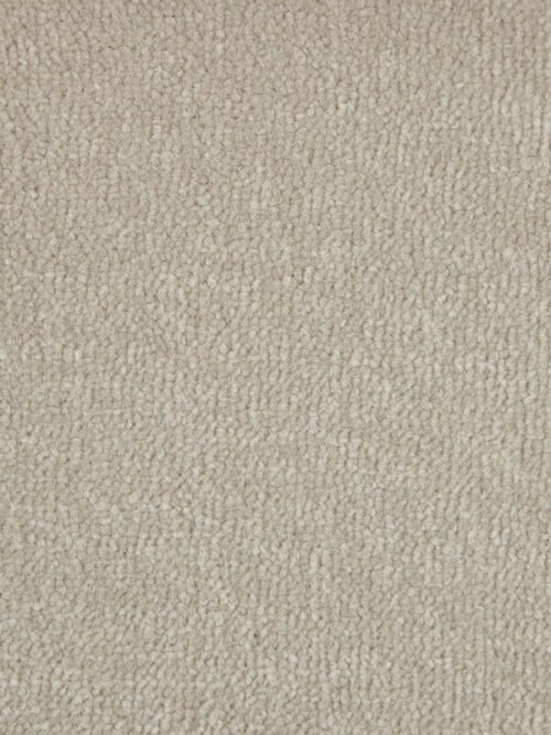 Fine Velvet Eggshell Polypropylene Plain Carpet