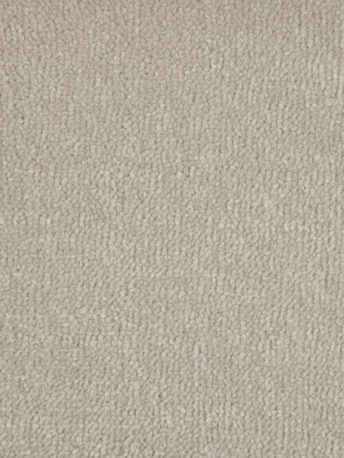 Fine Velvet Eggshell Polypropylene Plain Carpet