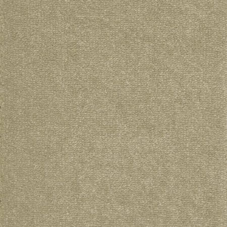 Fine Velvet Olive Plain Polypropylene Carpet