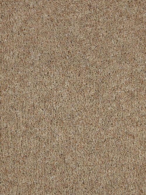 New Ayrshire Drogan Plain Synthetic Wool Carpet