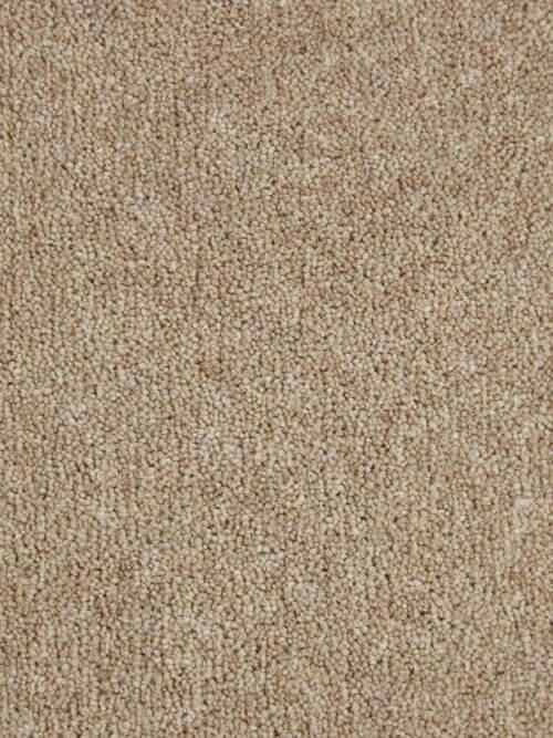New Ayrshire Hollybush Wool Synthetic Plain Carpet