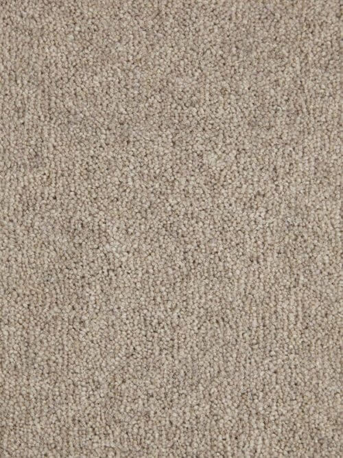 New Ayrshire Rosemount Synthetic Wool Plain Carpet