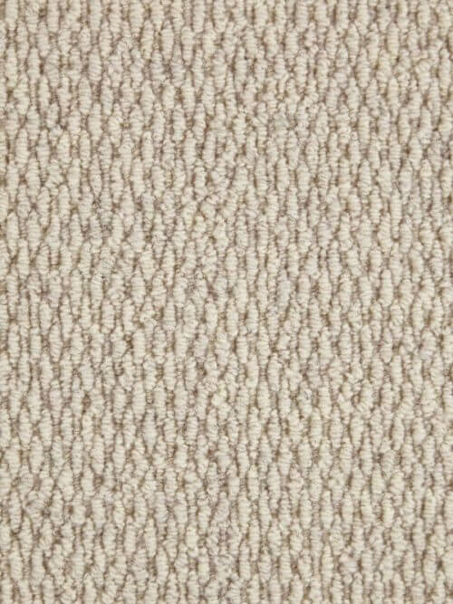 New Berber Attraction Kalahari Fawn Wool Synthetic Brussels Weave Plain Carpet