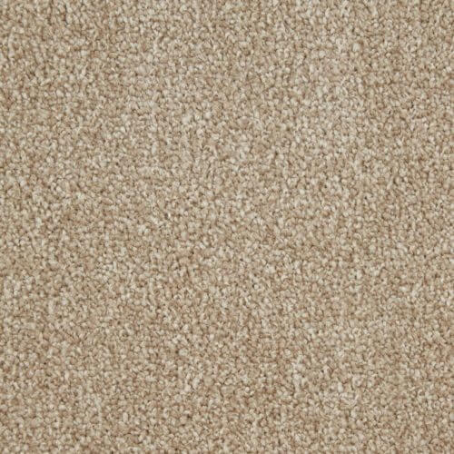 Signature Twist Marble Polypropylene Heather Carpet