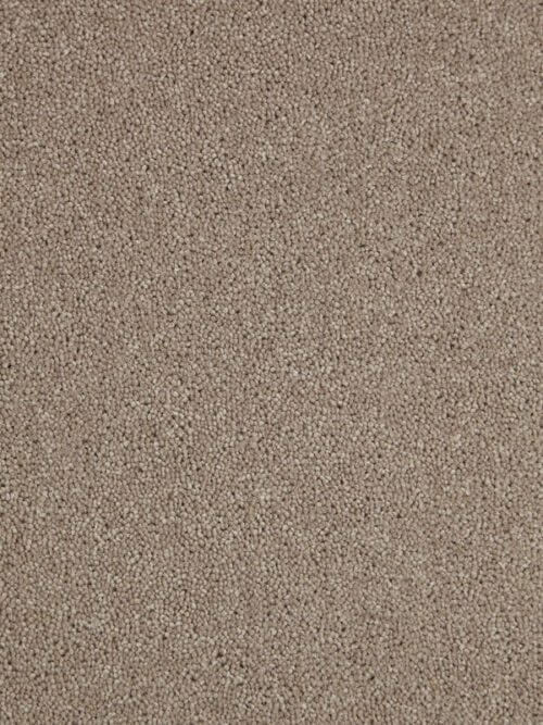 Temple Twist Porpoise Wool Synthetic Heather Carpet