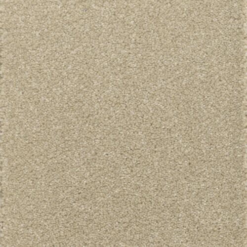 Tranquillity Eiger Heather Polypropylene Carpet