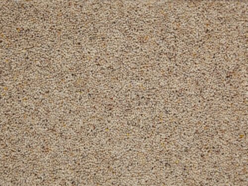 Vitronic Berber Granary Polypropylene Wool Carpet