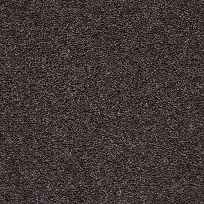 Perfect Home Damson Wool and Synthetic Heather Plain Carpet