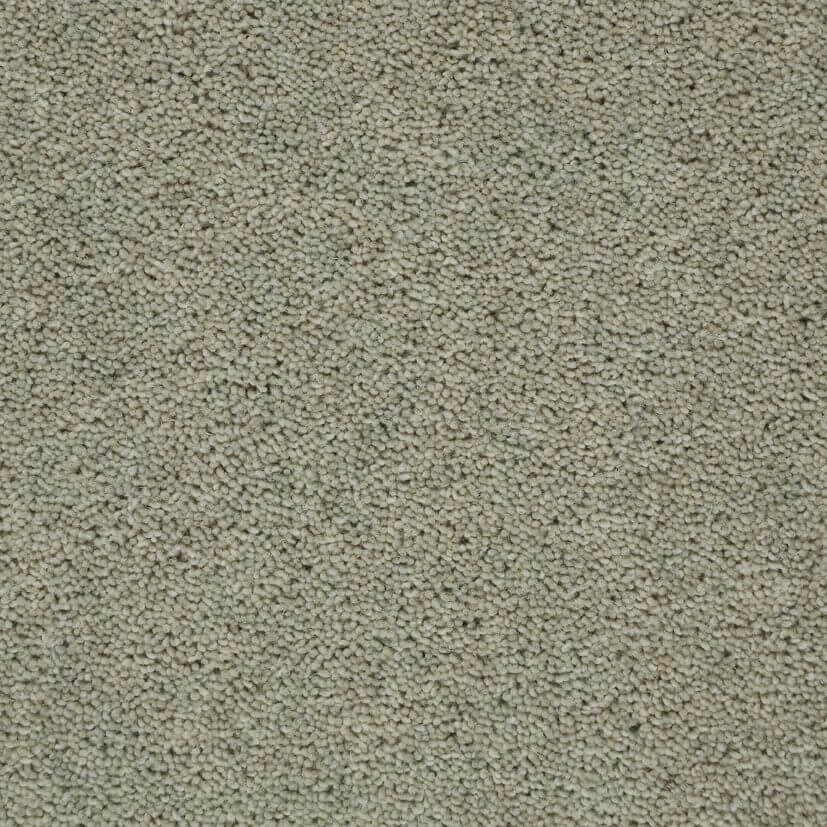 Perfect Home Limestone Heather Plain Wool Synthetic Carpet
