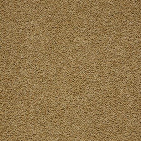 Perfect Home Old Gold Wool and Synthetic Heather Plain Carpet
