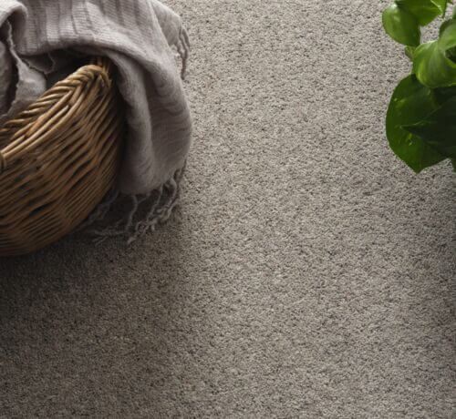 Our Carpet Ranges