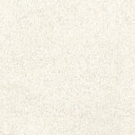 Snowdrop