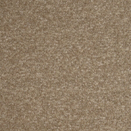Fantastic Biscuit Carpet