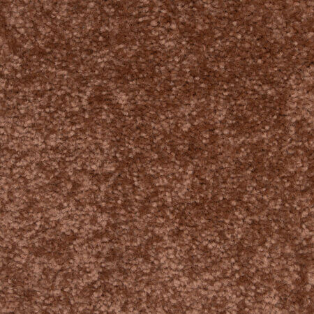 Fantastic Blush Carpet