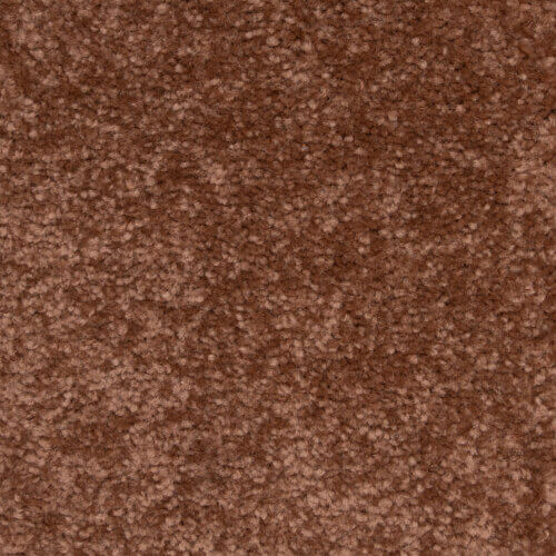 Fantastic Blush Carpet