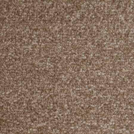 Fantastic Cinnamon Carpet