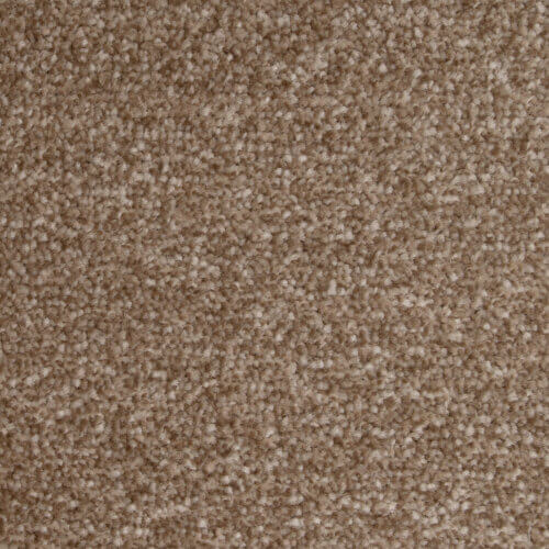 Fantastic Cinnamon Carpet