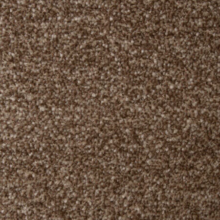 Fantastic Espresso Carpet