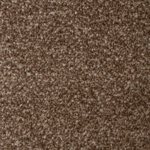Fantastic Espresso Carpet