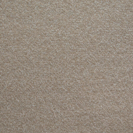 Fantastic Oatmeal Carpet